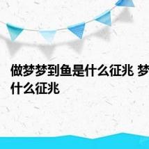 做梦梦到鱼是什么征兆 梦到鱼有什么征兆