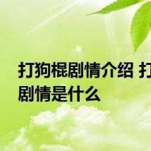 打狗棍剧情介绍 打狗棍剧情是什么