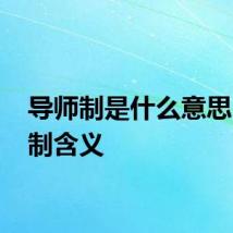 导师制是什么意思 导师制含义