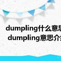 dumpling什么意思中文 dumpling意思介绍