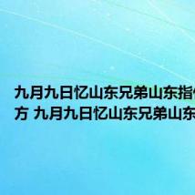 九月九日忆山东兄弟山东指什么地方 九月九日忆山东兄弟山东指哪里