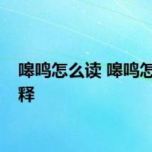嗥鸣怎么读 嗥鸣怎么解释