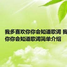 我多喜欢你你会知道歌词 我多喜欢你你会知道歌词简单介绍
