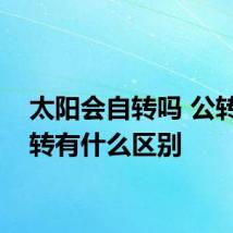 太阳会自转吗 公转和自转有什么区别