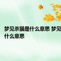 梦见杀猫是什么意思 梦见杀猫有什么意思