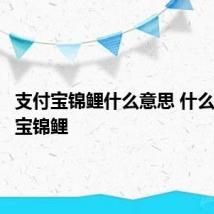 支付宝锦鲤什么意思 什么是支付宝锦鲤