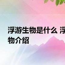 浮游生物是什么 浮游生物介绍