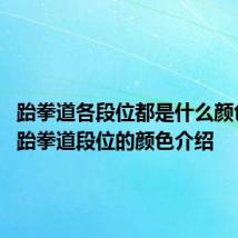 跆拳道各段位都是什么颜色 关于跆拳道段位的颜色介绍