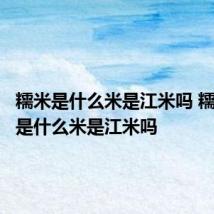 糯米是什么米是江米吗 糯米到底是什么米是江米吗