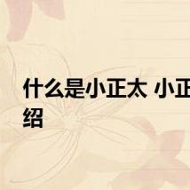 什么是小正太 小正太介绍