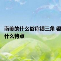 南美的什么俗称银三角 银三角有什么特点