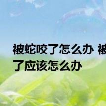 被蛇咬了怎么办 被蛇咬了应该怎么办