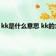kk是什么意思 kk的含义