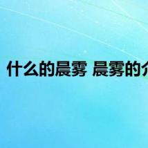 什么的晨雾 晨雾的介绍