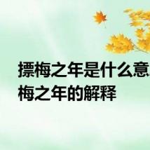 摽梅之年是什么意思 摽梅之年的解释