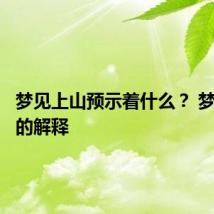 梦见上山预示着什么? 梦见上山的解释