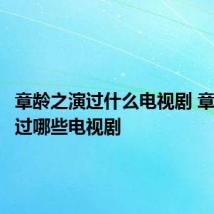 章龄之演过什么电视剧 章龄之演过哪些电视剧