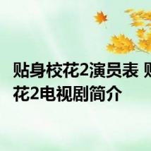 贴身校花2演员表 贴身校花2电视剧简介