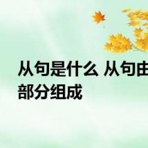 从句是什么 从句由什么部分组成