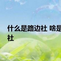 什么是路边社 啥是路边社