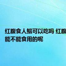 红腹食人鲳可以吃吗 红腹食人鲳能不能食用的呢