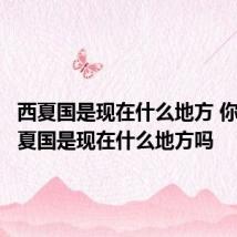 西夏国是现在什么地方 你知道西夏国是现在什么地方吗