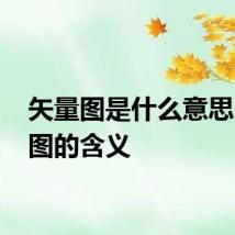 矢量图是什么意思 矢量图的含义