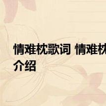情难枕歌词 情难枕歌曲介绍