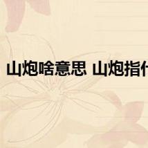 山炮啥意思 山炮指什么