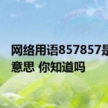 网络用语857857是什么意思 你知道吗