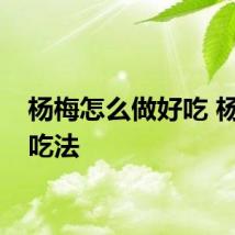 杨梅怎么做好吃 杨梅的吃法