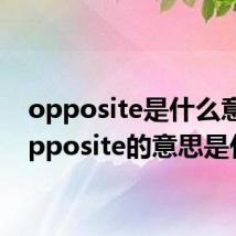opposite是什么意思 opposite的意思是什么