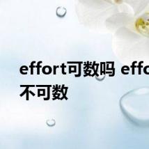 effort可数吗 effort可不可数