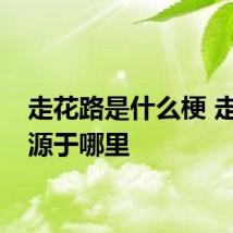 走花路是什么梗 走花路源于哪里