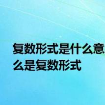 复数形式是什么意思 什么是复数形式