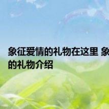 象征爱情的礼物在这里 象征爱情的礼物介绍