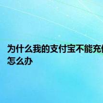 为什么我的支付宝不能充值 应该怎么办