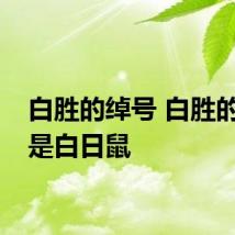 白胜的绰号 白胜的绰号是白日鼠