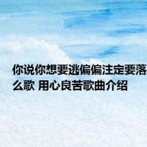 你说你想要逃偏偏注定要落脚是什么歌 用心良苦歌曲介绍