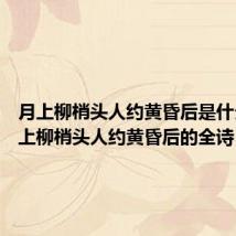 月上柳梢头人约黄昏后是什么节 月上柳梢头人约黄昏后的全诗