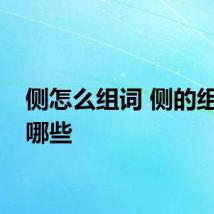 侧怎么组词 侧的组词有哪些