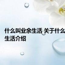 什么叫业余生活 关于什么是业余生活介绍