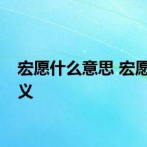 宏愿什么意思 宏愿的含义