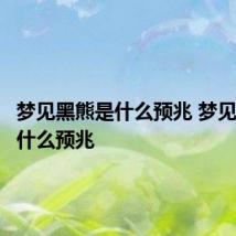 梦见黑熊是什么预兆 梦见黑熊有什么预兆
