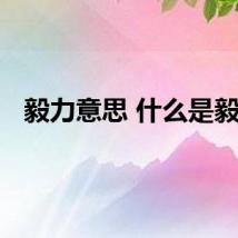 毅力意思 什么是毅力