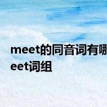 meet的同音词有哪些 meet词组
