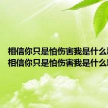 相信你只是怕伤害我是什么歌 歌词相信你只是怕伤害我是什么歌