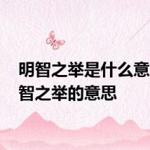 明智之举是什么意思 明智之举的意思