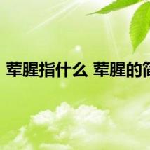 荤腥指什么 荤腥的简述