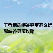 王者荣耀峡谷夺宝怎么玩 王者荣耀峡谷寻宝攻略